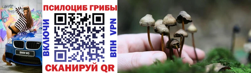 Псилоцибиновые грибы мицелий  Нижние Серги 